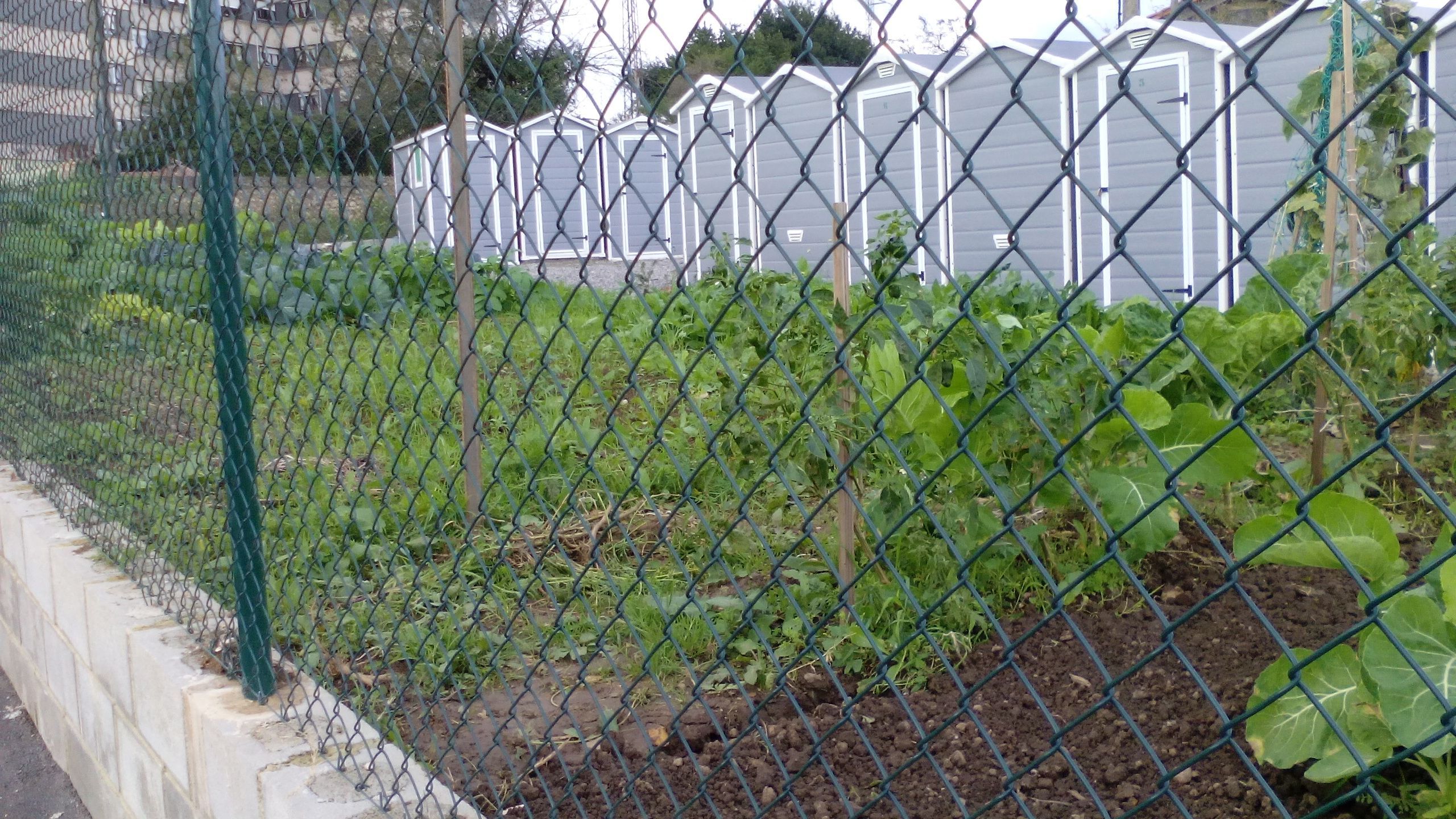 CONVOCATORIA PARA EL USO DE LOS HUERTOS URBANOS DEL ALTO DEL VIDRIERO Y